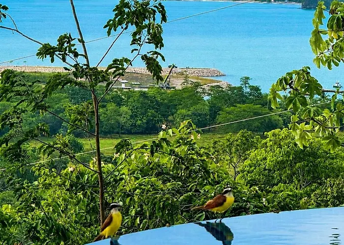 Villa Casa De Rock-gated Villa-ocean & Marina Views-pool-casita-cart